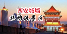 日逼逼里面了网站中国陕西-西安城墙旅游风景区